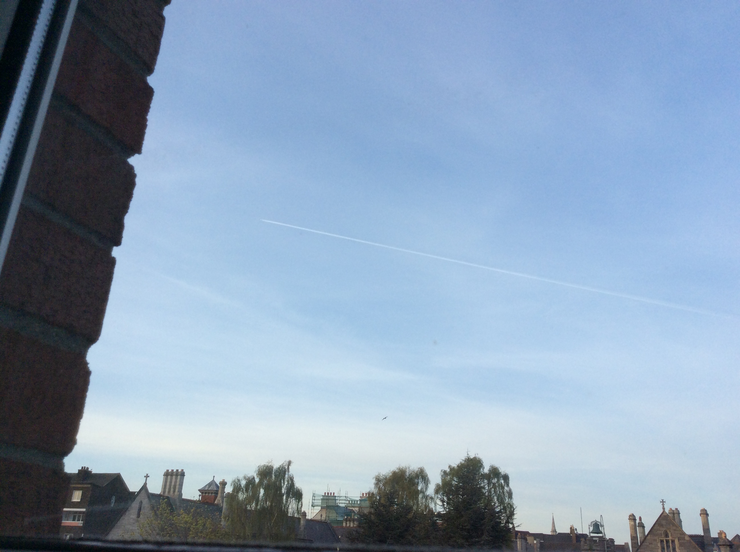 B33F4909-472D-451F-9874-CAD7DDBAF179