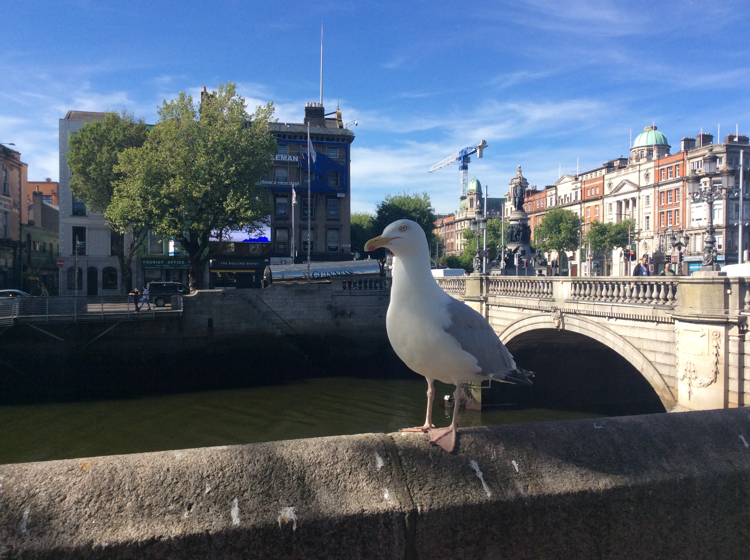 310D5CFB-50CD-4840-8FE3-86CCAB8585F2