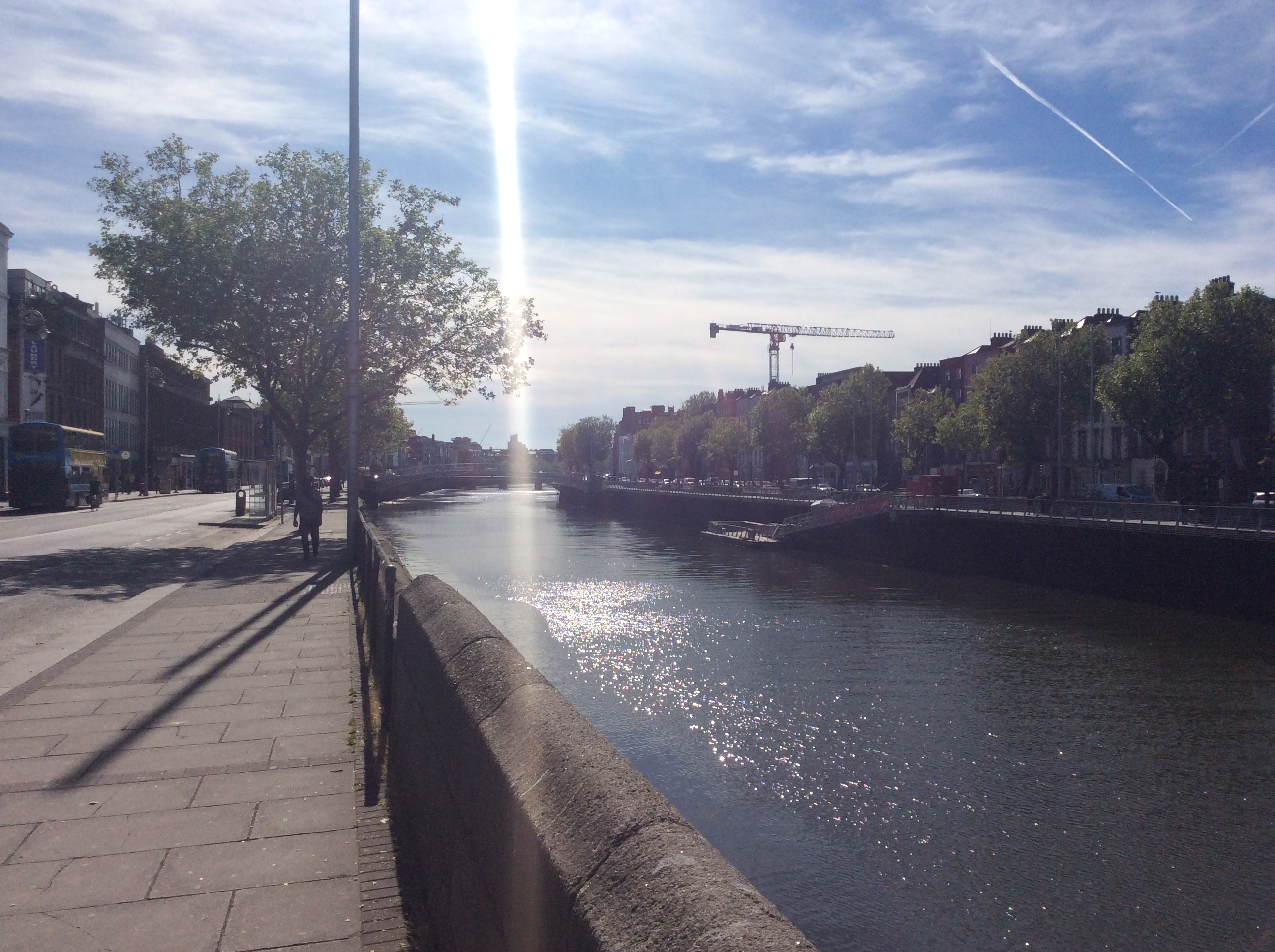 7D679584-71A7-47B2-8985-9563E07453BF